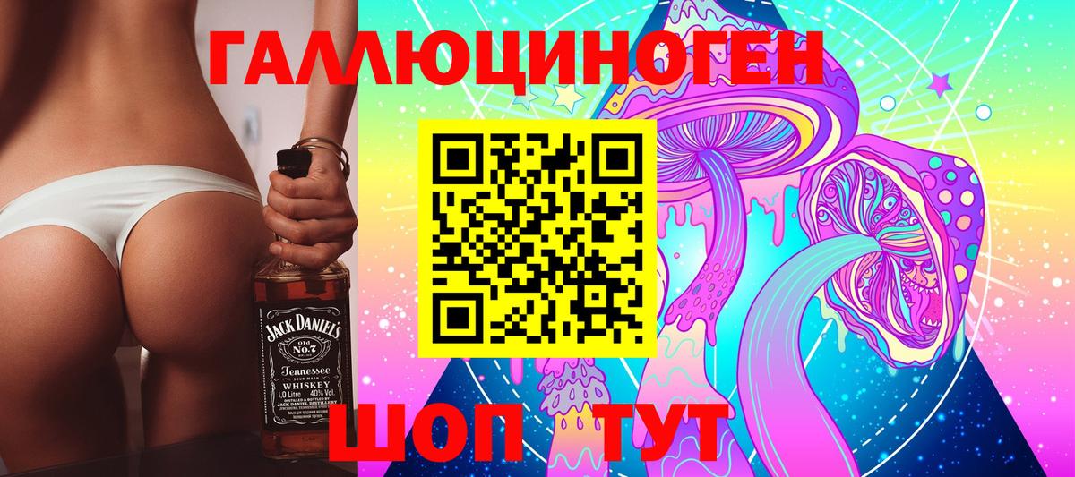 Псилоцибиновые грибы Psilocybe Карабулак