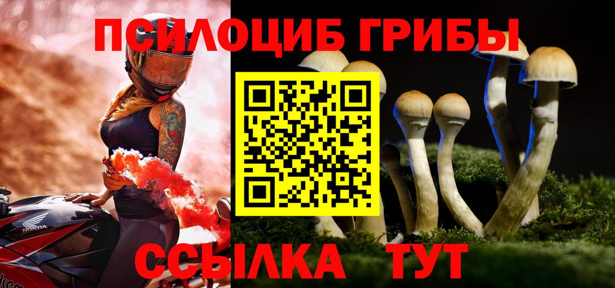 Карабулак  Галлюциногенные грибы Cubensis  наркота  Вход с VPN  Галлюциногенные грибы GOLDEN TEACHER 